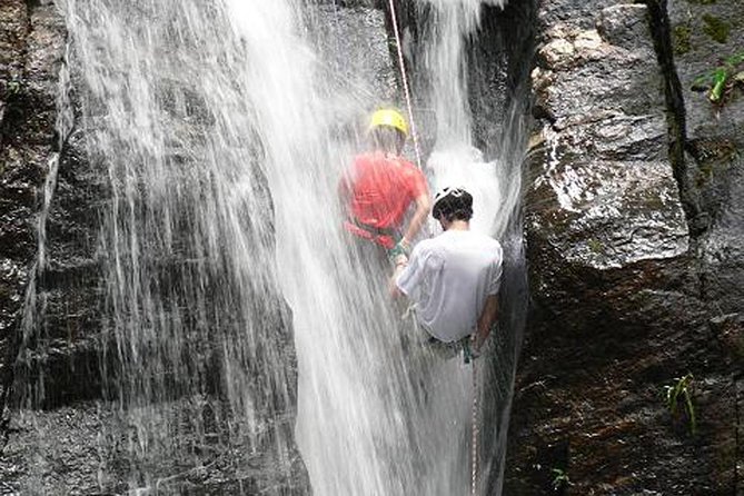 Tijuca National Park Hike and Waterfall Rappelling - The Morning Flow, Stops, and What You Actually Do