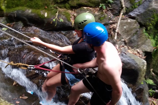 Tijuca National Park Hike and Waterfall Rappelling - Who This Tour Fits Best (And Who Should Skip It)