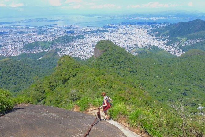 Tijuca Peak Hiking - The Highest Summit in Tijuca National Park - Price and Value: What $98.10 Covers