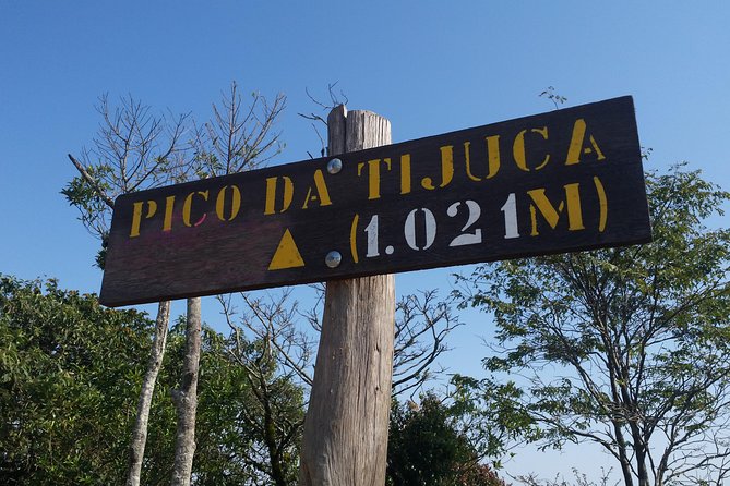 Tijuca Peak Hiking Tour & Taunay Waterfall - Rio de Janeiro - Wildlife, sounds, and how to enjoy the rainforest without getting in the way
