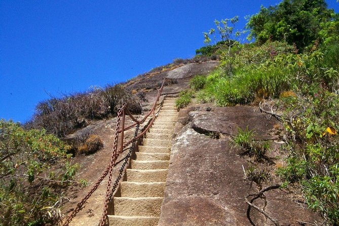 Tijuca Peak Hiking Tour & Taunay Waterfall - Rio de Janeiro - Price and value: is $60 worth it?