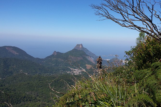 Tijuca Peak Hiking Tour & Taunay Waterfall - Rio de Janeiro - Pickup, timing, and how the day flows in about 6 hours