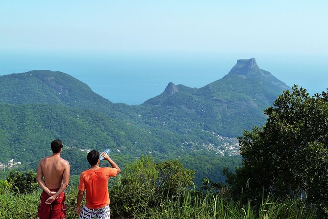Tijuca Rainforest Hiking Tour in Rio de Janeiro - A Morning in Tijuca: Pickup, Timing, and What the 6 Hours Really Means