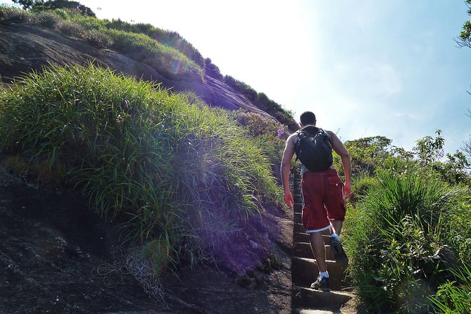Tijuca Rainforest Hiking Tour in Rio de Janeiro - Bom Retiro Trail to Pico da Tijuca: What the 1.5 Hours Feels Like