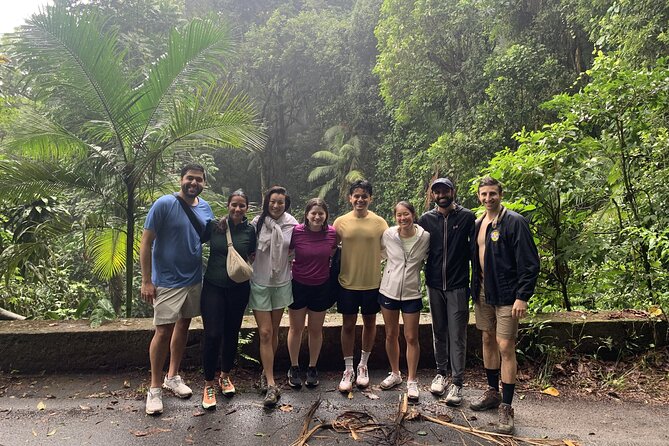 Tijuca Rainforest Waterfalls, Wildlife, Caves and Rio Scenic View - Starting at Mirante das Canoas, Rio in One Quick View