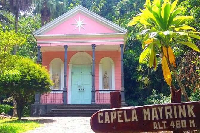 Tijuca's National Park - Eco Hiking Tour - Why Tijuca Forest feels different than other Rio tours
