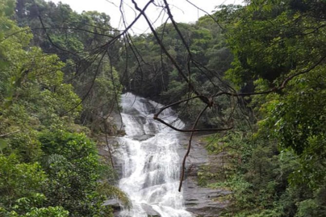 Top Tijuca Forest Private Tour with Botanical Garden - Key highlights before you go