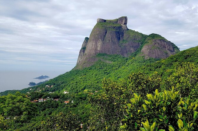 Top Tijuca Forest Private Tour with Botanical Garden - Best for whom, and how to get the most from it