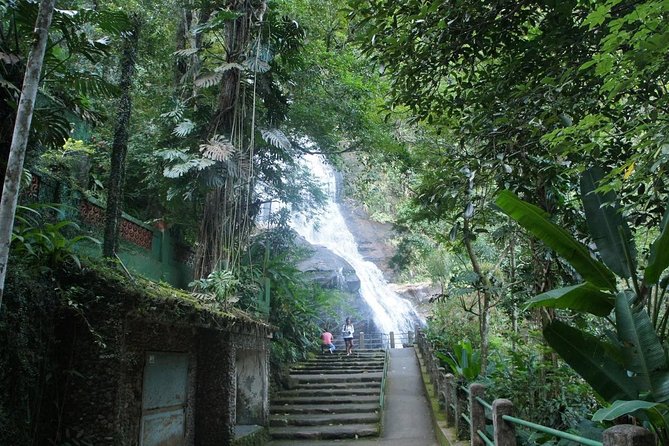 Tour 7 ( 4 hours ) : Tijuca National Park and Favela - Stop 2: Rocinha drive-by, 100,000 people, and what you should watch for