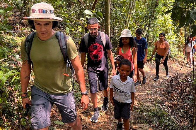 Trail to Beautiful Stone with amazing views in DA Tijuca Forest - Entering the Tijuca Forest at Pedra Bonita