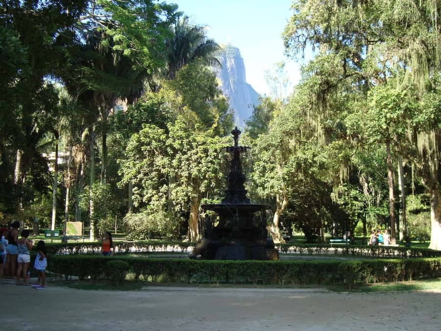 Tropical Wonders: Discover Rio's Jardim Botânico & Tijuca - Key things to notice before you go