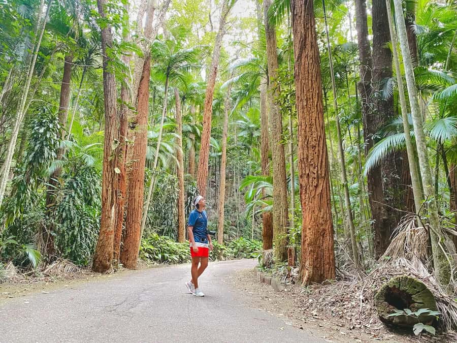 Tropical Wonders: Discover Rio's Jardim Botânico & Tijuca - Jardim Botânico: where the day really starts