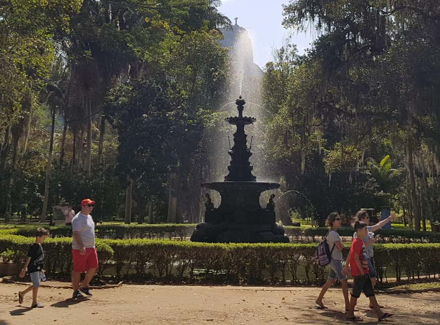 Tropical Wonders: Discover Rio's Jardim Botânico & Tijuca - Wildlife moments: what to look for without expecting a safari