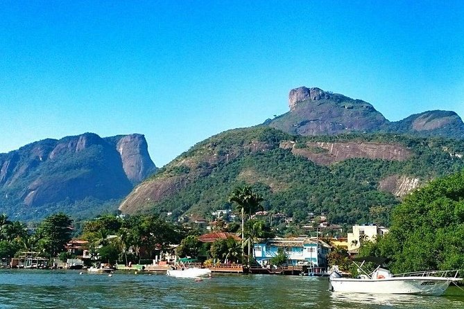 Venice in Rio Boat Trip to Gigóia Island with visit to Alligators and the Beach - What to do on Ilha da Gigoia during your 30 minutes