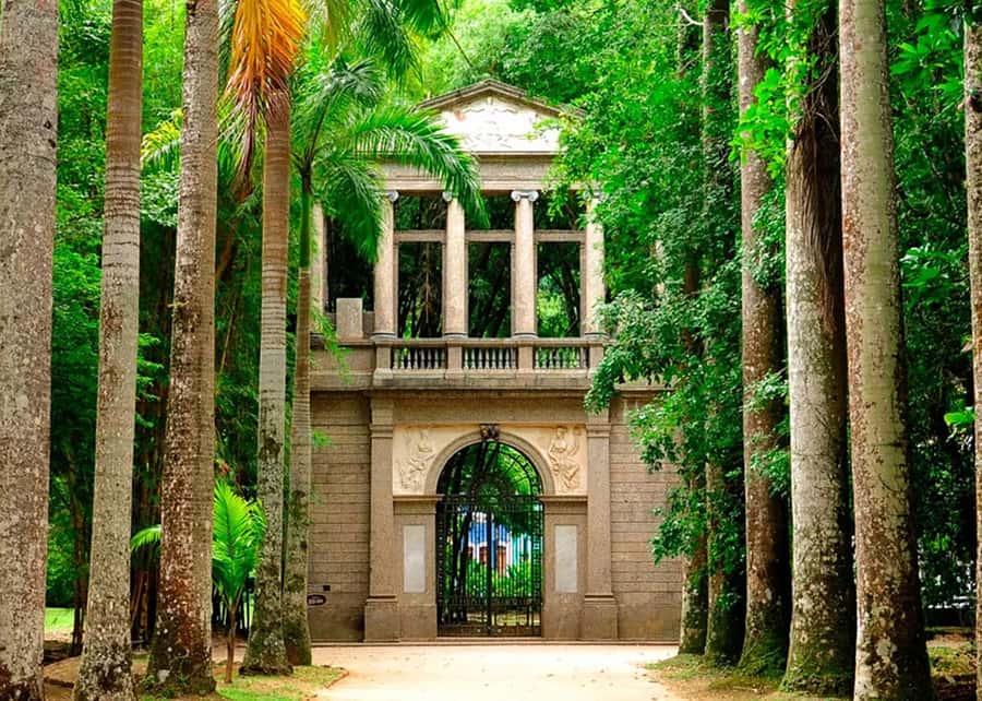 Visit Rio’s Botanical Garden: Nature, History, and Wildlife - Key points to know before you go