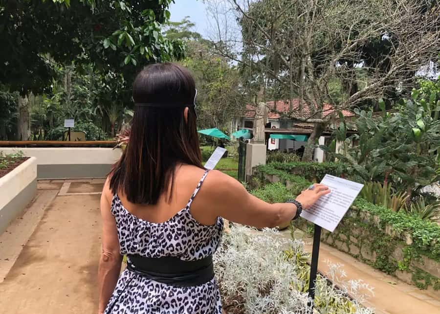 Visit Rio’s Botanical Garden: Nature, History, and Wildlife - What the $86 price buys, and when it feels like good value