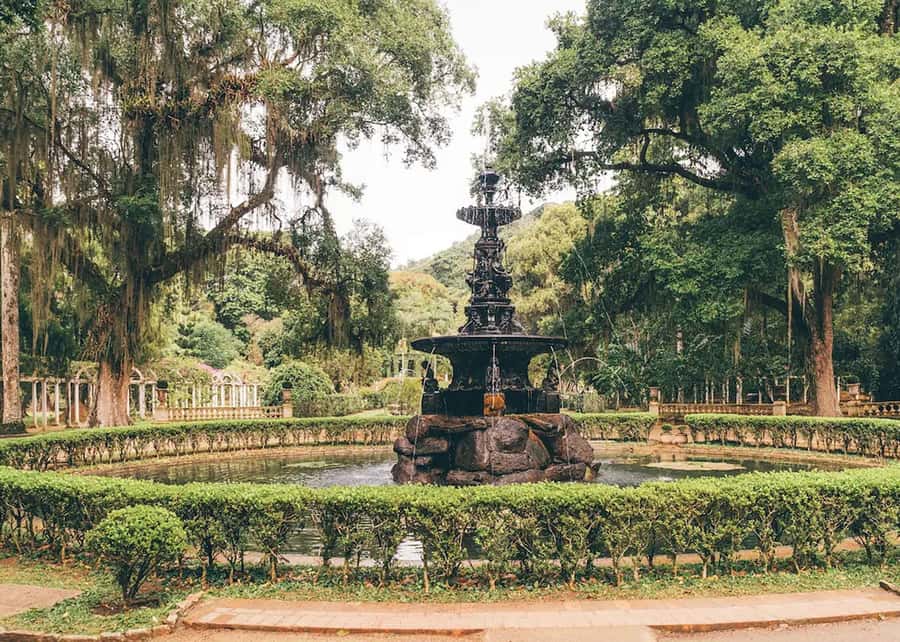 Visit Rio’s Botanical Garden: Nature, History, and Wildlife - Entering the Rio de Janeiro Botanical Garden, where Corcovado sets the tone