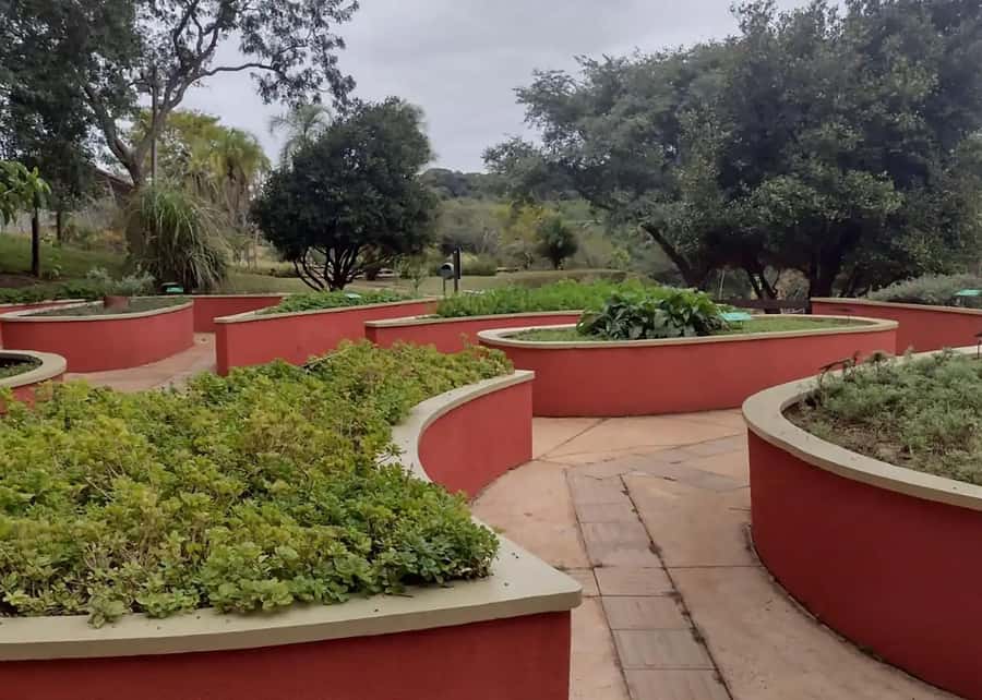 Visit Rio’s Botanical Garden: Nature, History, and Wildlife - Your guided route through 6,000+ plants and 900 palm varieties