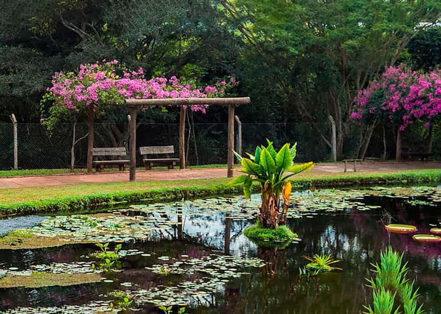 Visit Rio’s Botanical Garden: Nature, History, and Wildlife - Wildlife stops that feel real, not forced