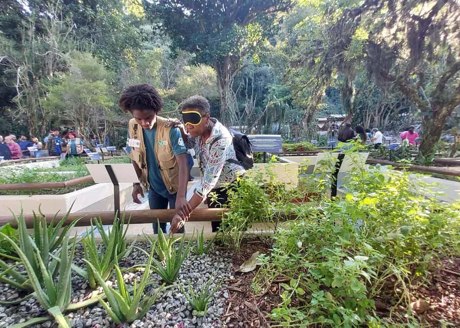Visit Rio’s Botanical Garden: Nature, History, and Wildlife - Sensory Garden, science, and why this place is more than a photo stop