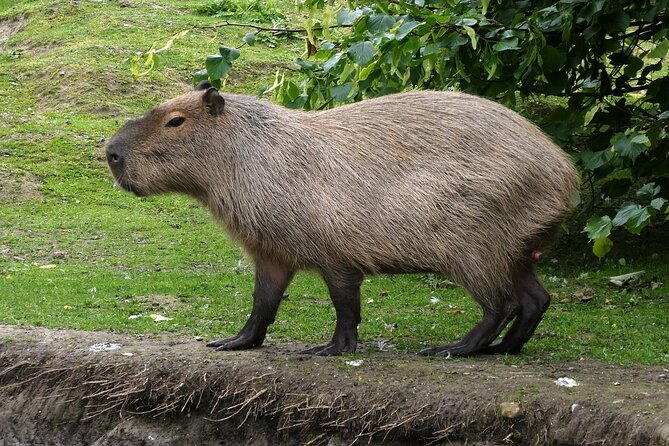 Wildlife Life Private Tour - Key things to know before you go