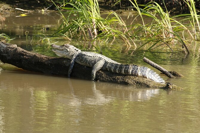 Wildlife Life Private Tour - The 8:00 am flow and how the route keeps wildlife possible