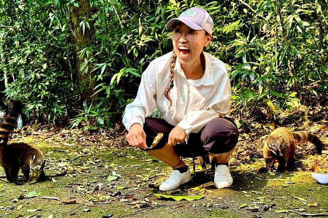 Wildlife viewing and excursion at Pedra Bonita. - Key highlights to plan for