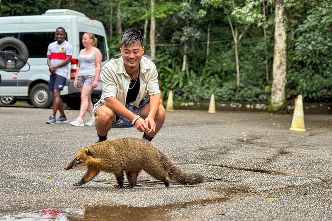 Wildlife viewing and excursion at Pedra Bonita. - Pedra Bonita Trail: where wildlife chances get real (about 2 hours)