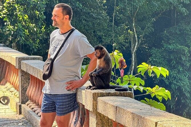 Wildlife viewing and excursion at Pedra Bonita. - Copacabana to Tijuca National Park: a quick start