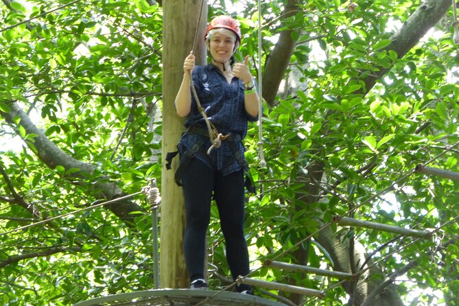 Zip Lining and Canopy Tree Tour in Rio de Janeiro - Key highlights worth planning around