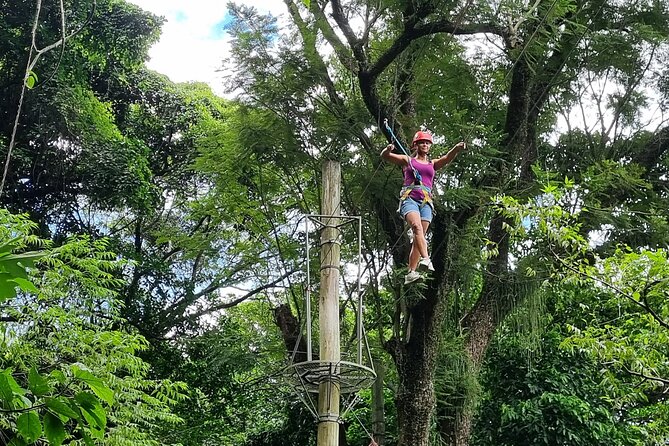 Zip Lining and Canopy Tree Tour in Rio de Janeiro - Stop 3 at Urubu Lookout: Tijuca views and Christ the Redeemer