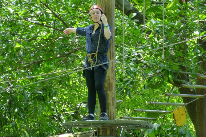 Zip Lining and Canopy Tree Tour in Rio de Janeiro - Getting the day right: timing, group size, and what to bring