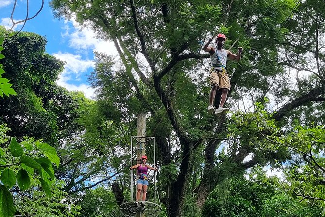 Zip Lining and Canopy Tree Tour in Rio de Janeiro - Who should book this canopy and zip line tour